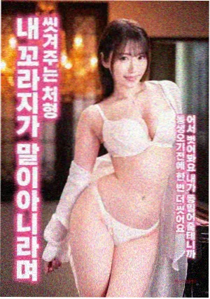 栖鸟与铁笼封面
